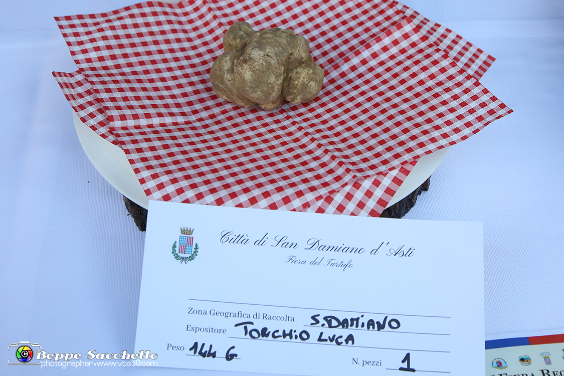 VBS_5552 - 10.ma Fiera Nazionale del Tartufo e Fiera dei Santi.jpg